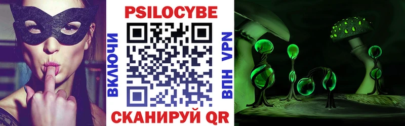 MEGA ТОР  закладка  Бежецк  Галлюциногенные грибы прущие грибы 